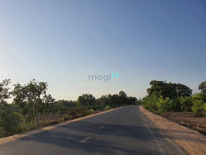 Hình ảnh Bán 7775m2 Lê Quang Định, thị xã LaGi sinh lời tốt