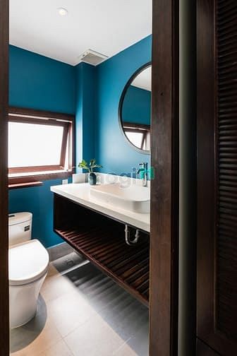 Hình ảnh Cho thuê CHDV cao cấp full NT cực kì đẹp
