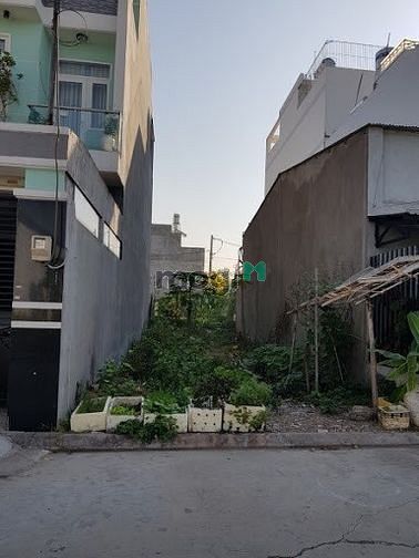 Hình ảnh Bán đất TC đường Hoàng Phan Thái,gần chợ Bình Chánh-100m2 - 1,2 tỷ-shr
