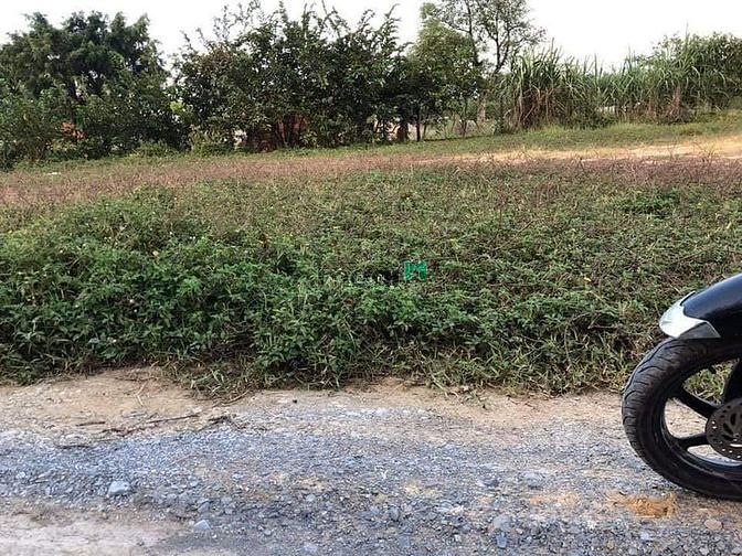 Hình ảnh Quá mắc nợ, bán gấp đất Thị Trấn Hậu Nghĩa Long An