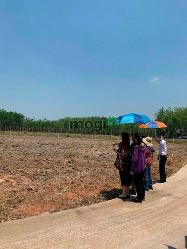 Hình ảnh Đất Sổ Hồng 2021, Giá F0, KCN Becamex Bình Phước
