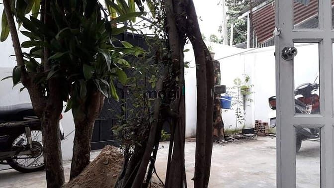 Hình ảnh Bán nhà riêng Củ Chi - TP Hồ Chí Minh giá 2.6 tỷ