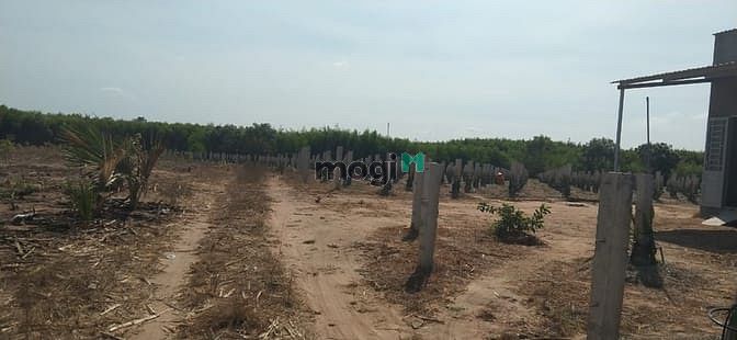 Hình ảnh Bán 8.6 sào đất cổng KCN Tân Đức, Hàm Tân giá mềm