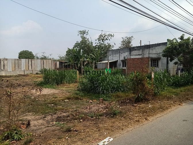 Hình ảnh Bán đất đường Cao Thị Bèo - 172m2 - 5x34 - 168m2 thổ cư
