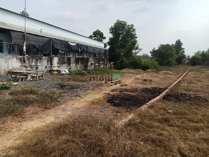Hình ảnh Bán đất 1/ Tỉnh Lộ 8 - 2600m2 - 10x165 - 500m2 thổ cư - xã Tân An Hội