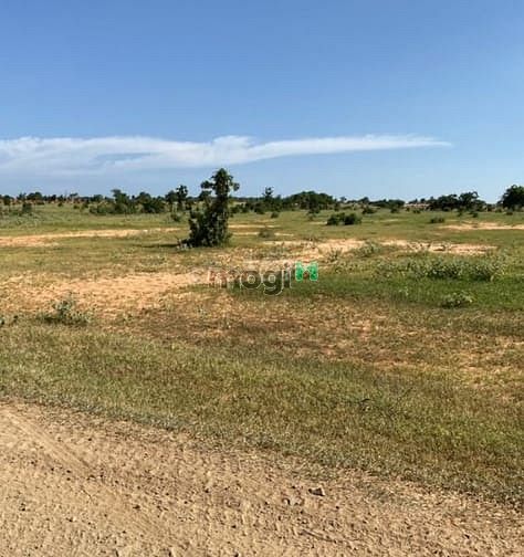 Hình ảnh Đất Hồng Thái Bắc Bình có SHR 12450m2, chính chủ 700tr