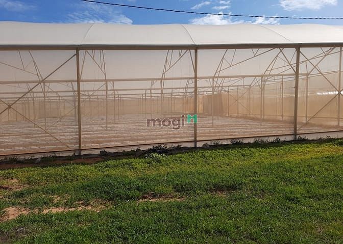 Hình ảnh Đất Hồng Thái Bắc Bình có SHR 12450m2, chính chủ 700tr