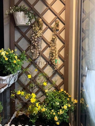 Hình ảnh RIVER GATE: 3pn - 2wc - 95m2 - nội thất đầy đủ
