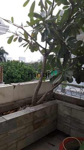 Hình ảnh 🍁𝑪𝒉𝒐 𝑻𝒉𝒖𝒆̂ Biêt thự Dương văn An An Phú 450m2 Hầm 3 lầu☘️MS:13