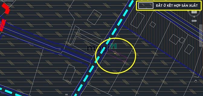 Hình ảnh Bán đất đường Nguyễn Thị Ngoạn - 109m2 - 5x22 - 101m2 thổ cư