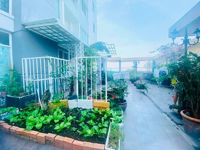 Hình ảnh Cho thuê Trang Chủ MB66.COM / Đăng Ký Tặng 66K belleza Quận 7, căn có sân vườn chung, 91m1: 2PN, 2WC