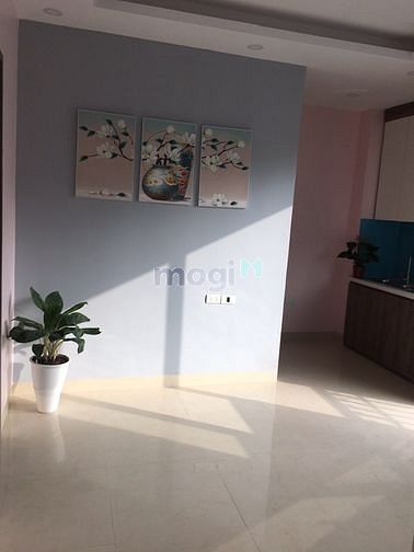Hình ảnh Bán chung cư mini quận đống đa-nhiều  diện tích lựa trọn