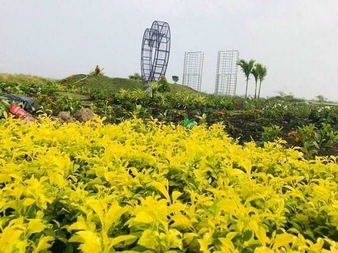 Hình ảnh Bán Nền KDC Vạn Phát (Mặt Tiền Quốc Lộ-View Sông) Chiết Khấu Cao