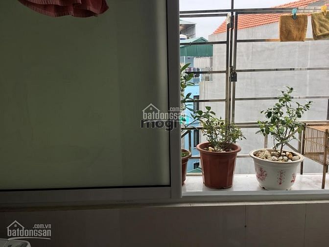 Hình ảnh bán Trang Chủ MB66.COM / Đăng Ký Tặng 66K chung cư mini mặt đường mỹ đình 50m2 /2pn