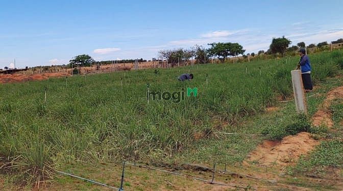 Hình ảnh Đất Hòa Thắng cần bán gấp view biển