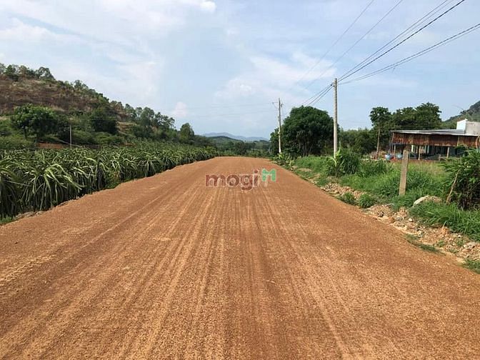 Hình ảnh 9000m2 đất sát ngã tư đường liên huyện