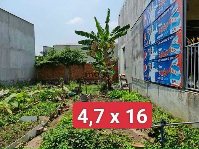 Hình ảnh bán đất bình nhâm cách đường nguyễn hữu cảnh 30m