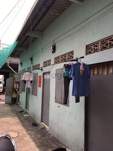Hình ảnh Thanh lý Dãy trọ 4P Bình Thọ Thủ Đức 78m2 SHR Gía ra nhanh 2ty620
