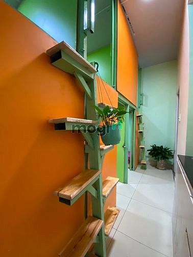Hình ảnh ở ghép dạng ký túc xá(1 người 1 phòng) bao hết Phí