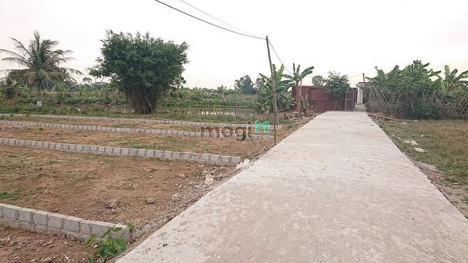 Hình ảnh Bán Đất 51m2, Đường 361 Bàng La, Đồ Sơn, Hải Phòng