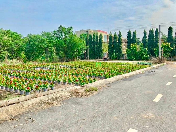 Hình ảnh Bán lô đất nền thổ cư 100% liền kề KCN Bàu Xéo. Đối diện trường cấp 2