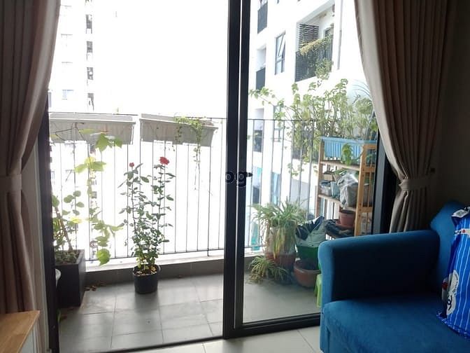 Hình ảnh Cho thuê C/h M One, Q7, 61m2, giá 11 triệu