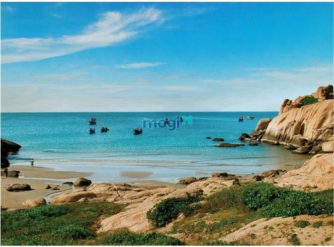 Hình ảnh Lô đất liền kề Cao tốc Dầu Giây - Phan Thiết chỉ từ 70k/m2