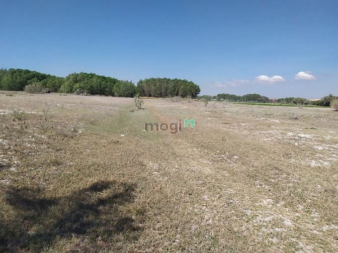 Hình ảnh Đất cách biển 300m cách DT716B chỉ 1km