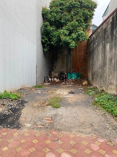 Hình ảnh Bán gấp 49.2m Thượng Thanh, Long Biên SĐCC giá chỉ 2.2 tỷ