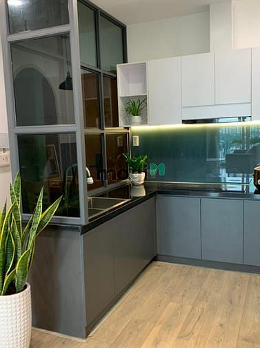 Hình ảnh CC Tara Residence - Tạ Quang Bửu Quận 8 1PN -2PN -3PN