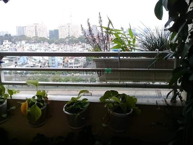 Hình ảnh Cho thuê chung cư Khánh Hội 2 - 3 phòng ngủ, 2 toilet