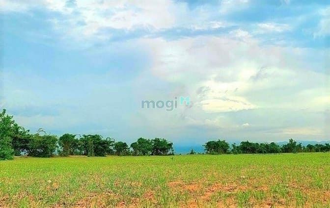Hình ảnh View biển cần bán lô đất Hòa Thắng