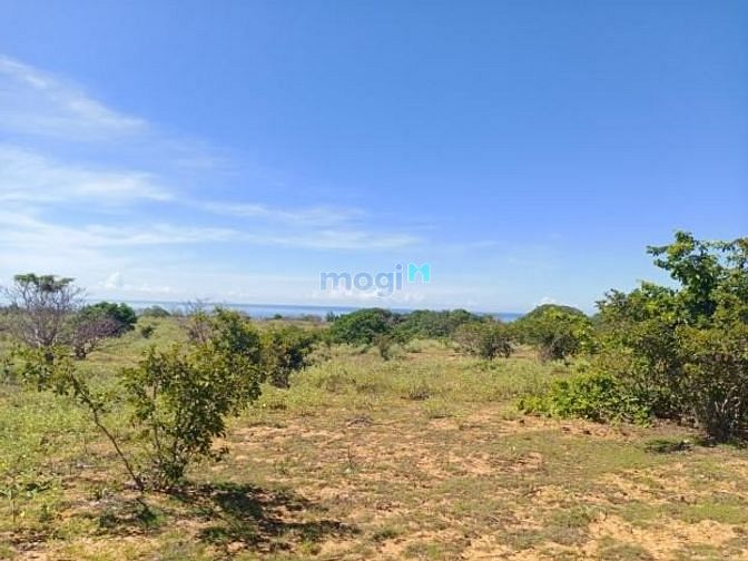 Hình ảnh View biển cần bán lô đất Hòa Thắng