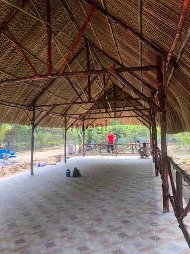 Hình ảnh Bán đất có sẵn vườn, SHR, đường ÔTÔ, GIÁ 1TR/M2