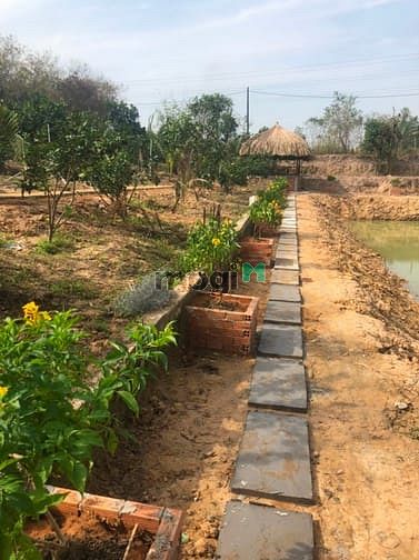 Hình ảnh Bán đất có sẵn vườn, SHR, đường ÔTÔ, GIÁ 1TR/M2