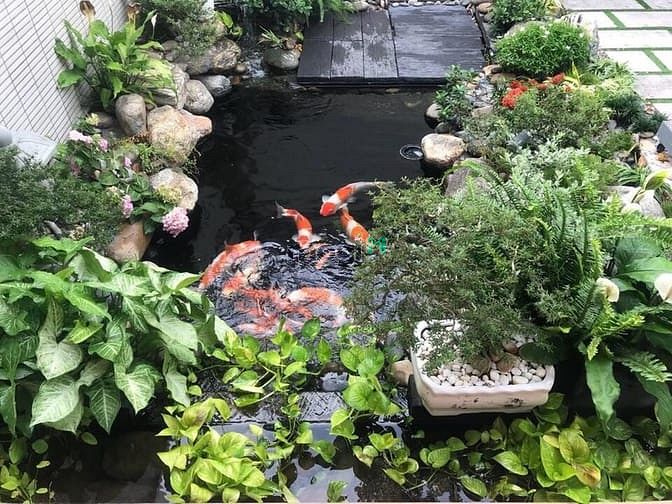 Hình ảnh Bán biệt thự đường số 12 kdc Long Thịnh, P. Phú Thứ, Q. Cái Răng, TPCT