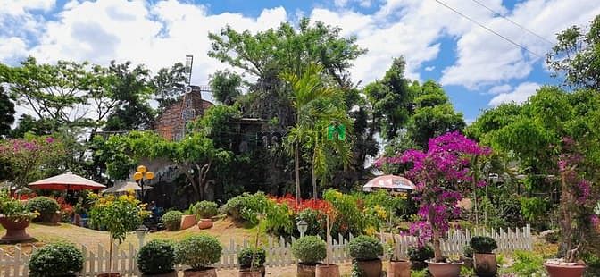 Hình ảnh Cần bán gấp mảnh đất tại chợ Lâm Hà , Công chứng trong ngày