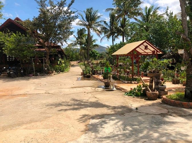 Hình ảnh Cần bán gấp mảnh đất tại chợ Lâm Hà , Công chứng trong ngày