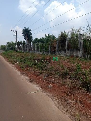 Hình ảnh Đất mặt tiền đường 32m phước bình