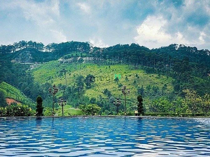 Hình ảnh ĐẤT NỀN BẢO LỘC ĐỐI DIỆN ĐỒI CHÈ TÂM CHÂU.590TR/lô 100m2 thổ cư.