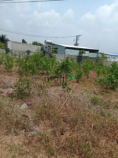 Hình ảnh Đất mặt tiền phước bình long thành siêu đẹp