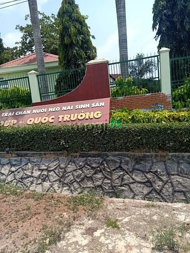 Hình ảnh Đất mặt tiền phước bình long thành siêu đẹp