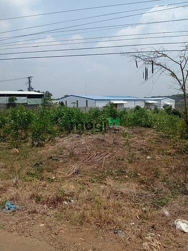 Hình ảnh Đất mặt tiền phước bình long thành siêu đẹp