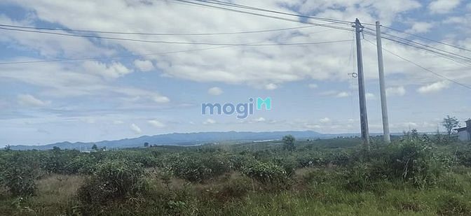 Hình ảnh đi nước ngoài cần bán gấp siêu phẩm