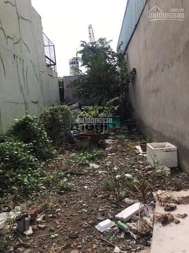 Hình ảnh Bán Đất Nguyễn Văn Quỳ, Phường Phú Thuận, Q.7.