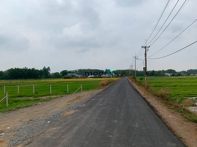 Hình ảnh Bán đất vườn Nguyễn Thị Rành , Huyện Củ Chi, 500m2, Giá rẻ