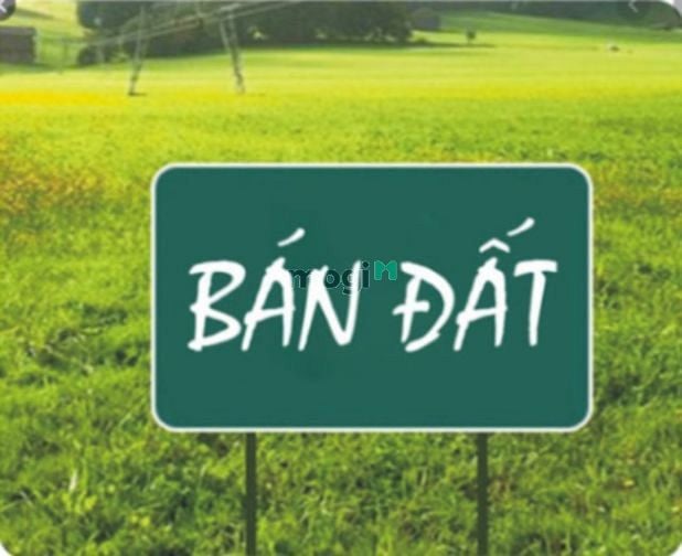 Hình ảnh Bán miếng đất số 110 phố Phan Kế Bính kéo dài, quận Ba Đình