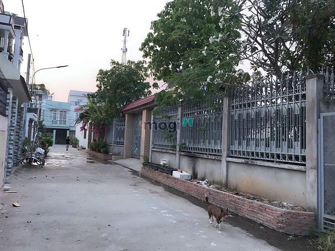 Hình ảnh Đất DT: 24x21=500m2 hẻm 31 đường 160, phường Tăng Nhơn Phú A.Q9