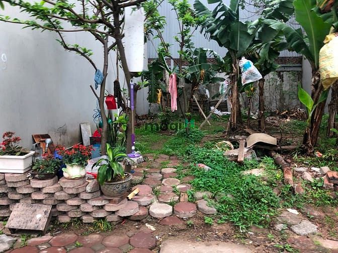 Hình ảnh Thanh khoản gấp 97m đấu giá Phúc Lợi, Long Biên: