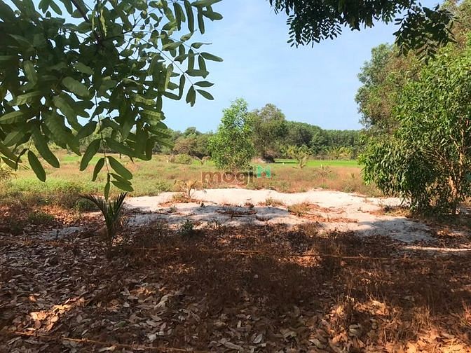 Hình ảnh Đất 1 sẹc quốc lộ 55. Khu sinh thái cô kiều giá 3 tỷ.